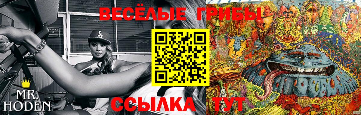 Галлюциногенные грибы прущие грибы Малгобек